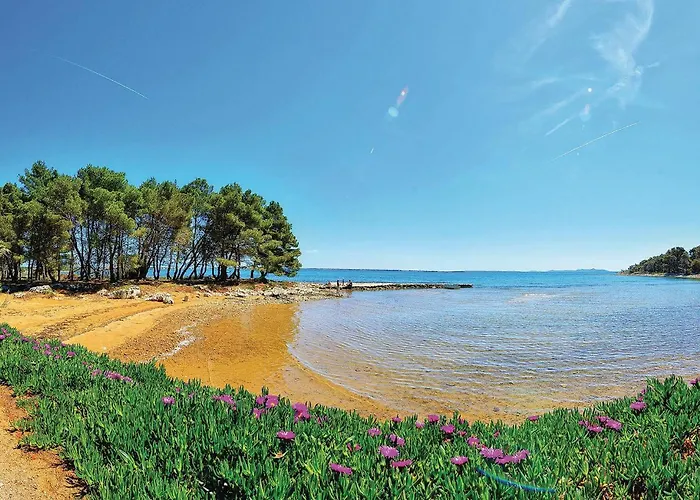 別荘 In With Sauna *